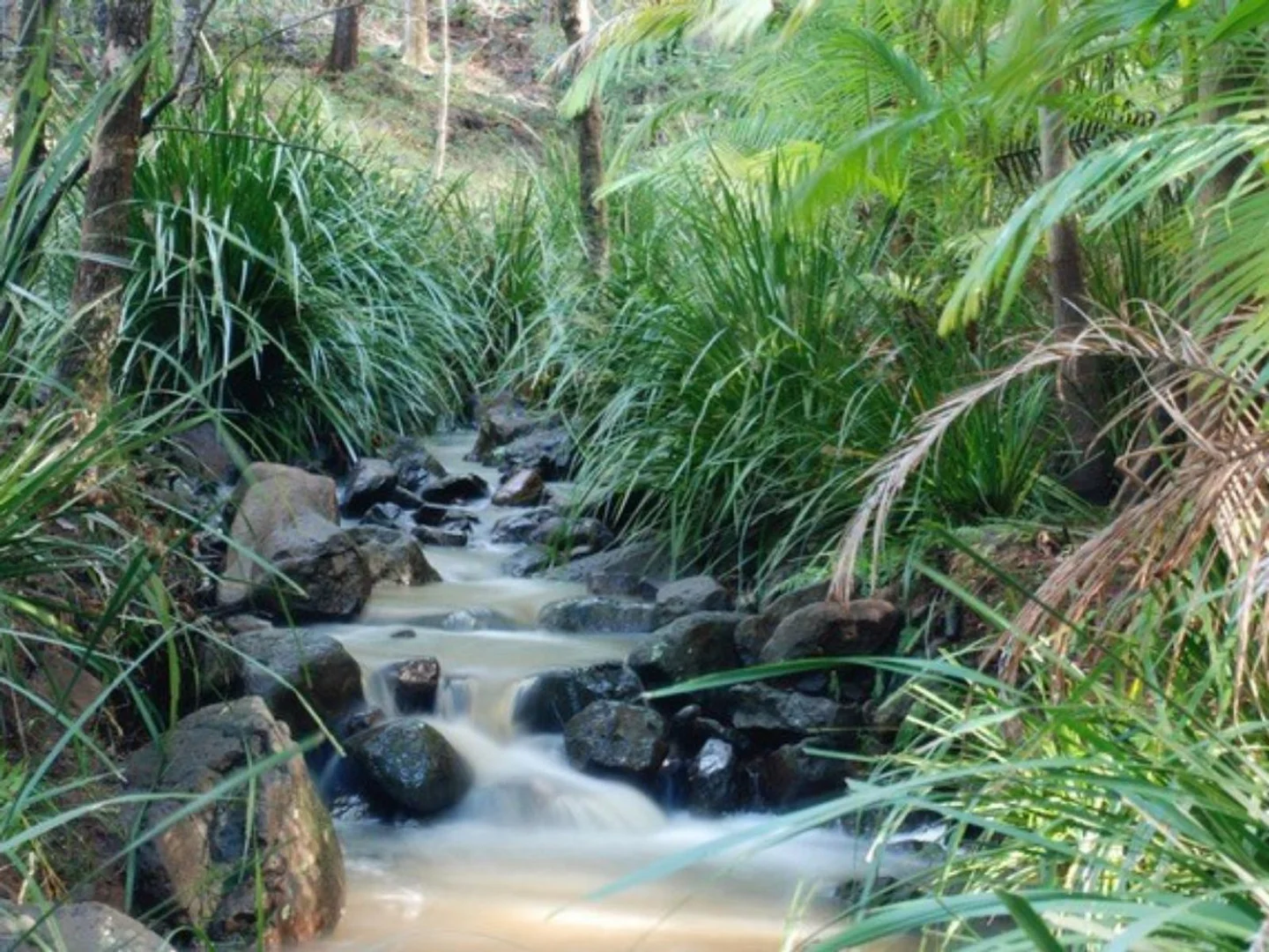 Additional image 11 of 242 Old Byron Bay Road, Newrybar NSW 2479