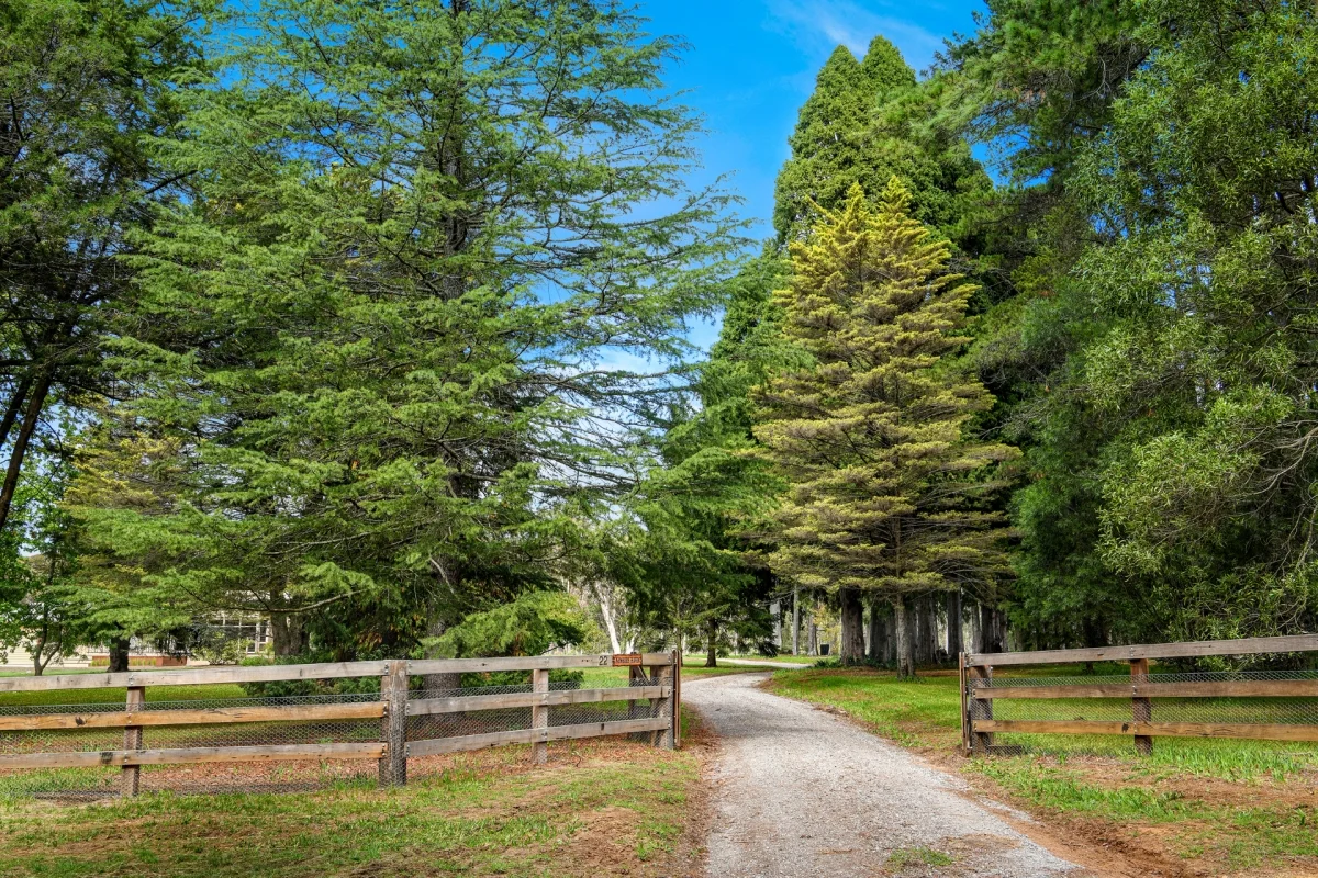 22 Newbury Drive, Penrose NSW 2579