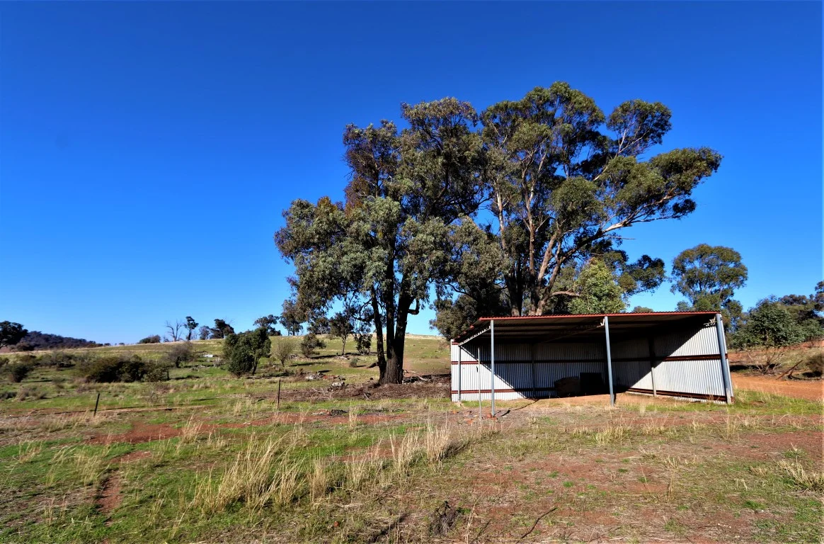 Additional image 15 of 2453 Old Cootamundra Road, Temora NSW 2666