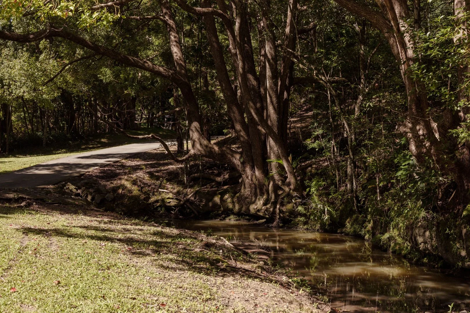 Additional image 34 of 13 Fordyce Close, Currumbin Valley QLD 4223