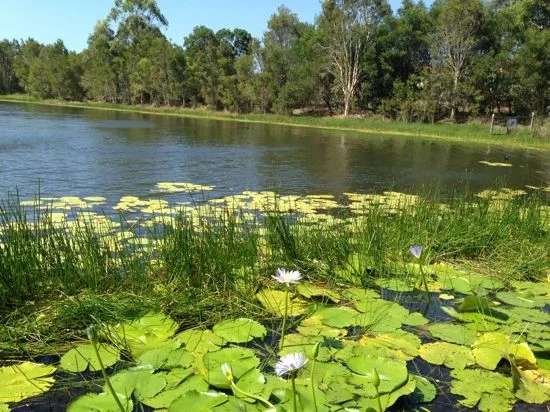 Additional image 2 of Mango Hill QLD 4509