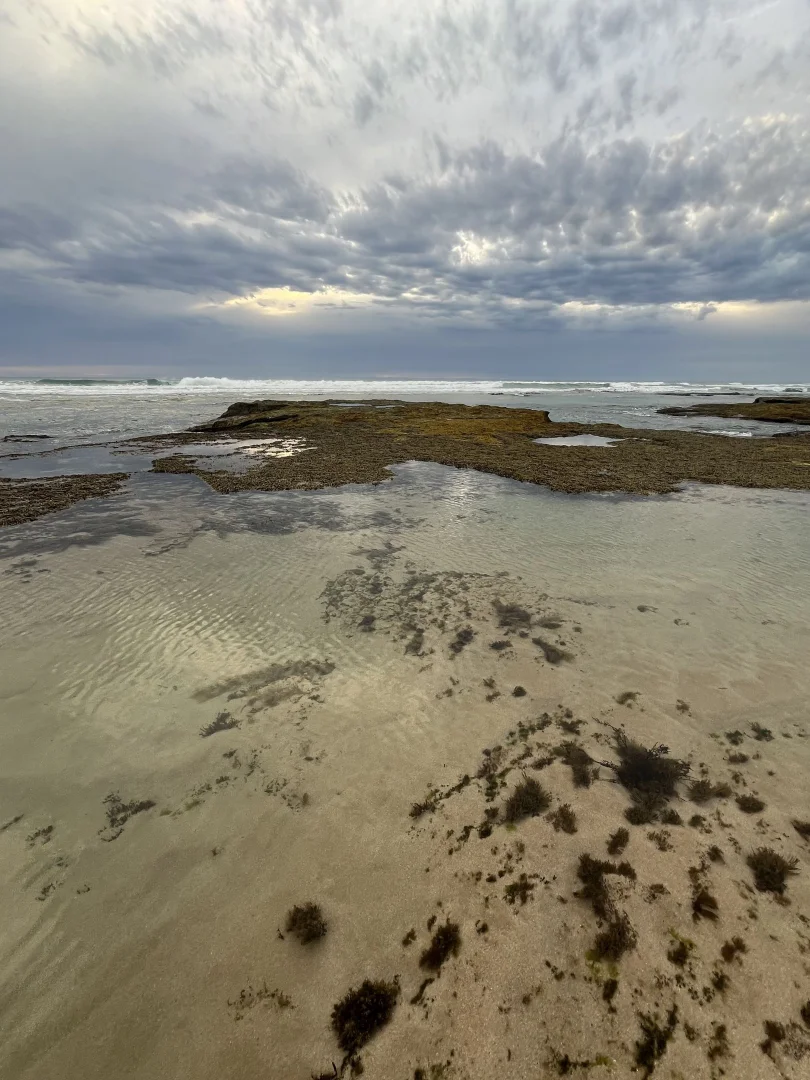 Additional image 17 of Rye VIC 3941