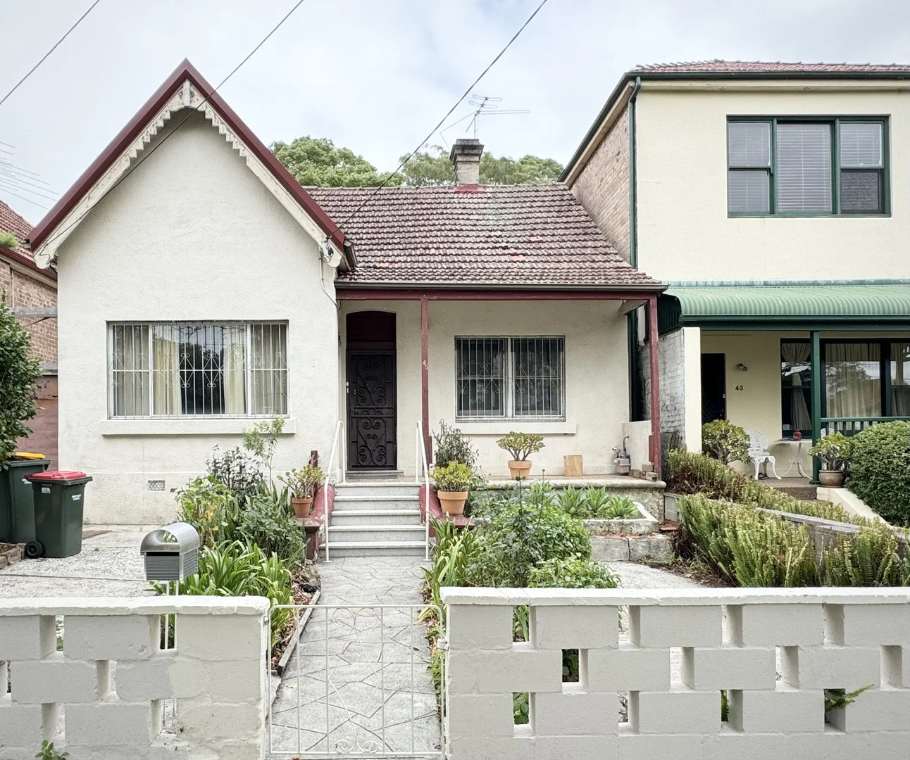 45 Carlisle Street, Ashfield NSW 2131