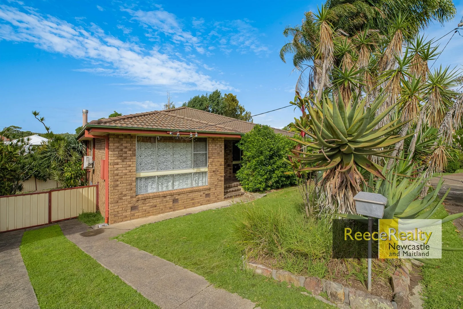 14 Shereline Avenue, Jesmond NSW 2299
