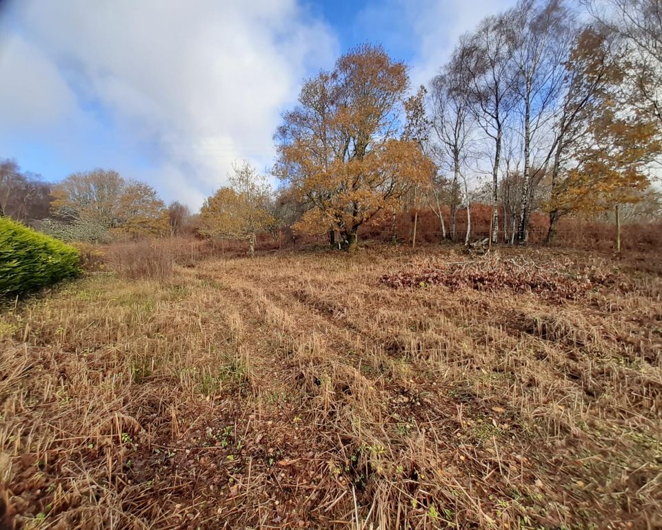 Land for salePlot With Croft At Achnahully, Arisaig PH39 photo 3