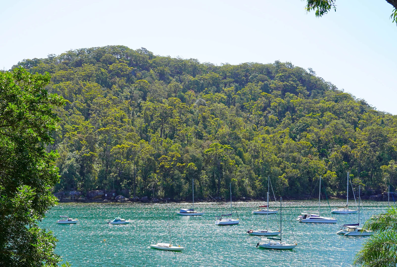 Additional image 14 of 132 Mccarrs Creek Road, Church Point NSW 2105