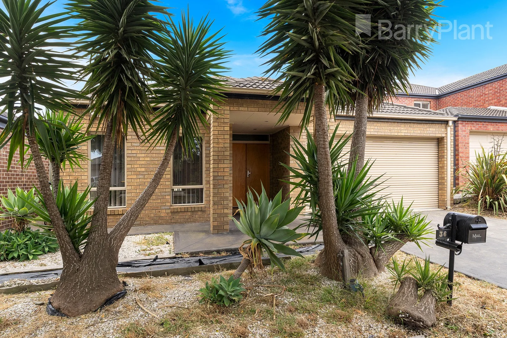 36 Westerfolds Loop, Craigieburn VIC 3064