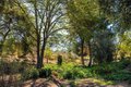 Additional image 61 of 28808 Mountain Meadow Rd, Escondido, CA, 92026