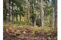 27325 SE 402nd St, Enumclaw, WA, 98022 photo 3