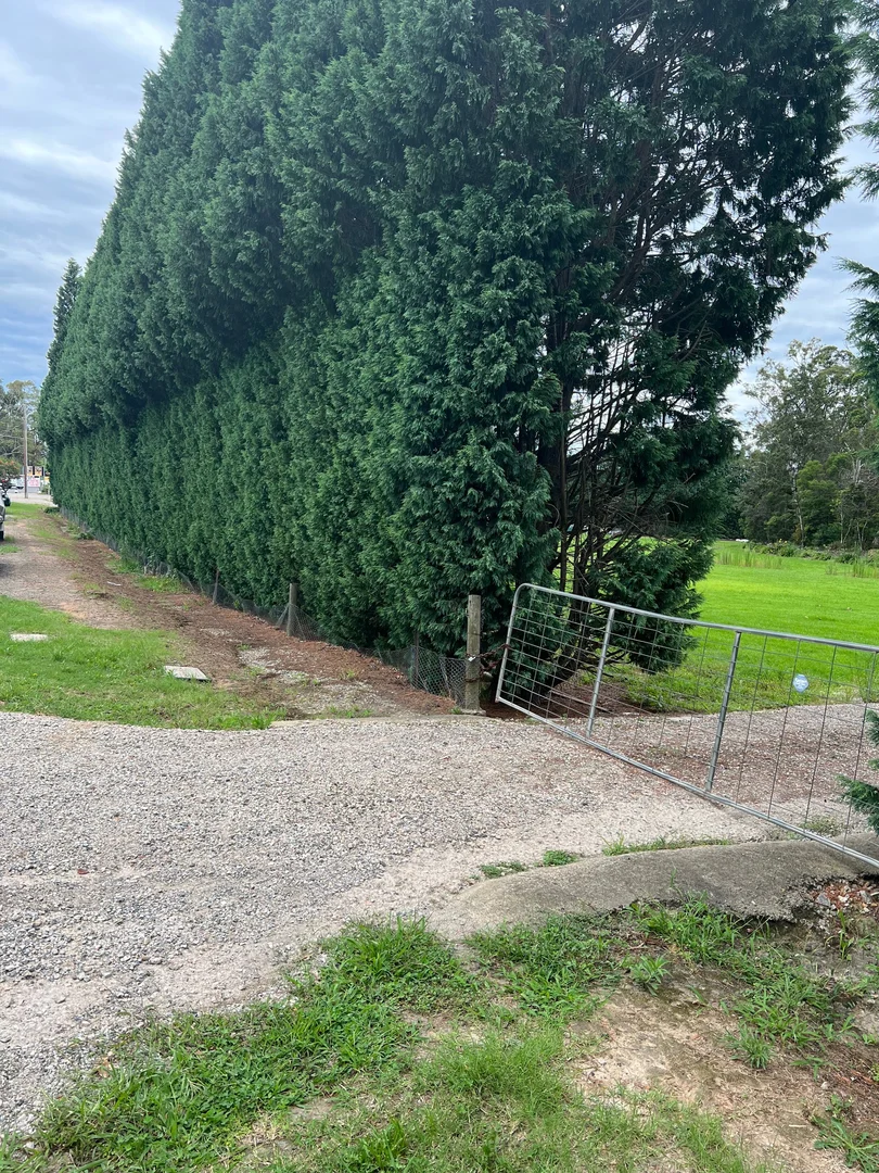 Additional image 6 of Glenorie NSW 2157