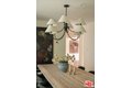 Additional image 10 of 851 Dickson St, Marina del Rey, CA, 90292