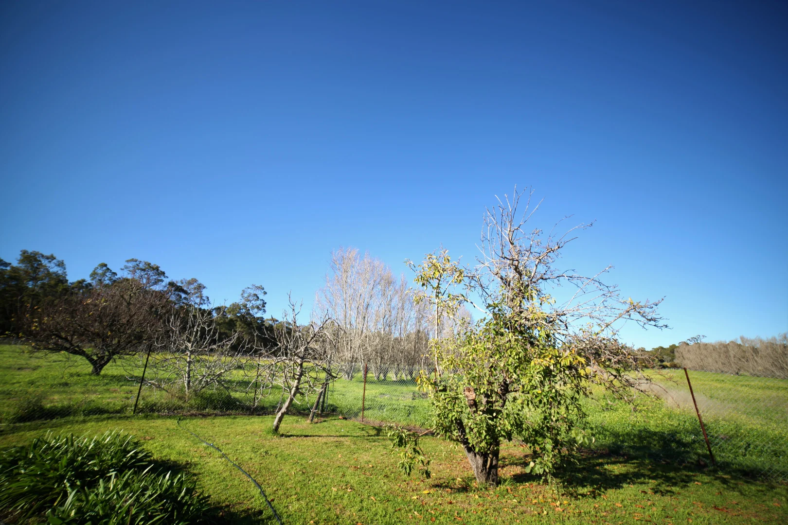 Additional image 7 of 19 Beelerup Road, Donnybrook WA 6239