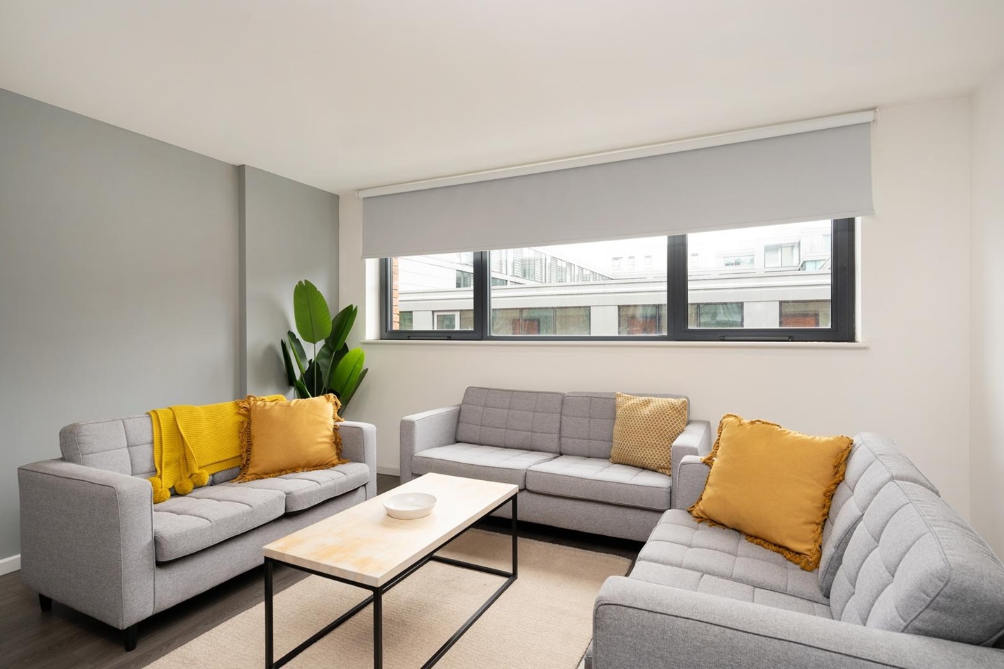 Room in a Shared Flat, Hollis Croft, S1, N1 7GU photo 3