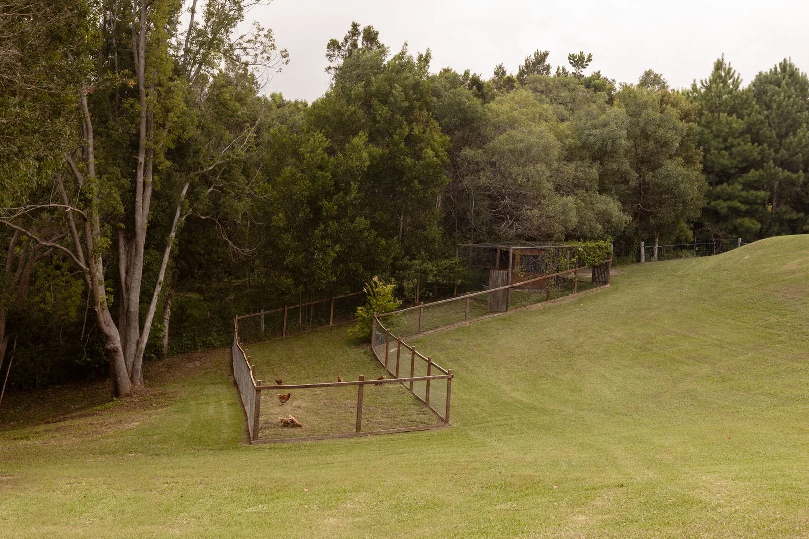 Additional image 29 of 13 Fordyce Close, Currumbin Valley QLD 4223