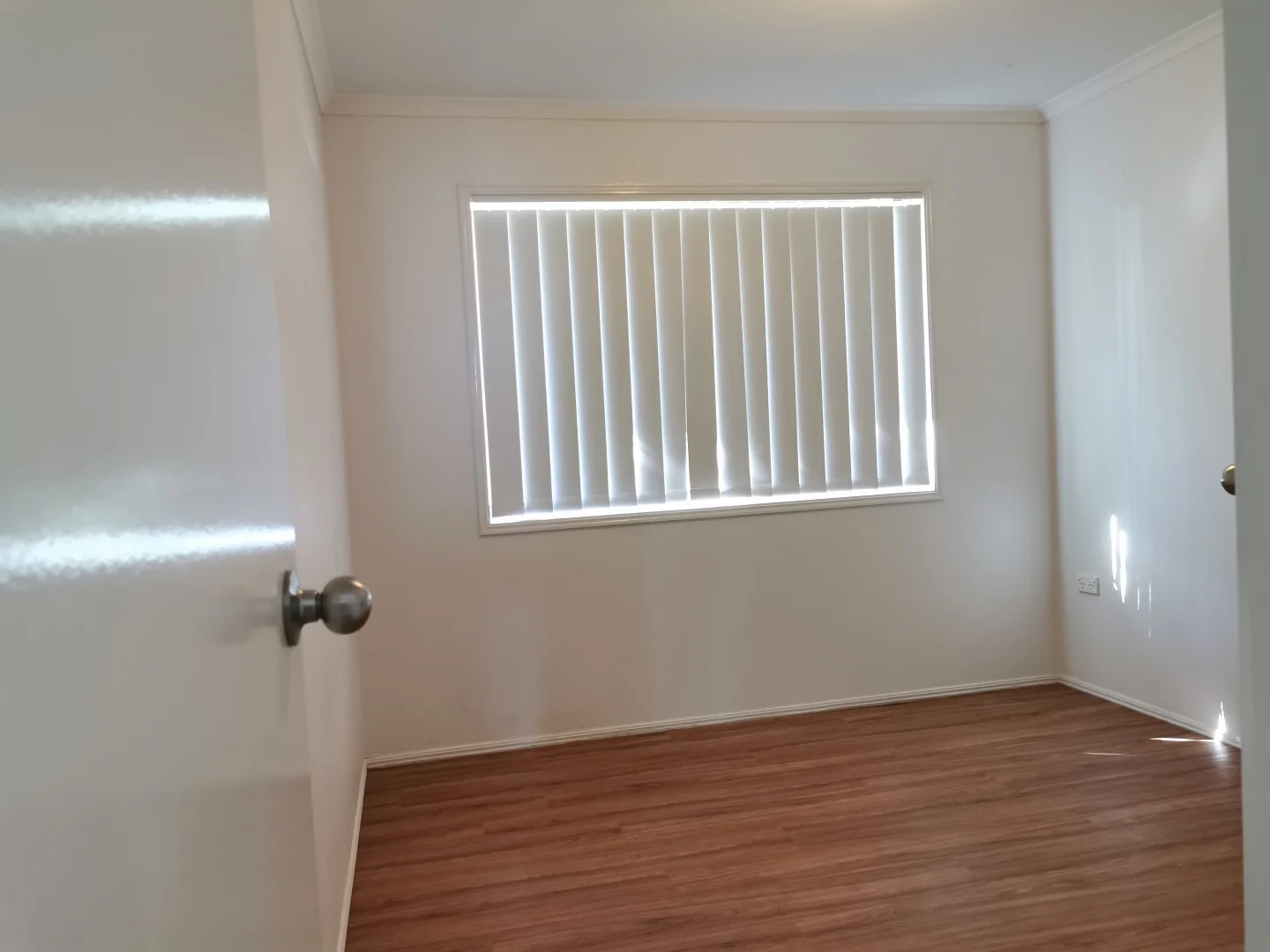55 Romney St, Pialba QLD 4655 photo 5