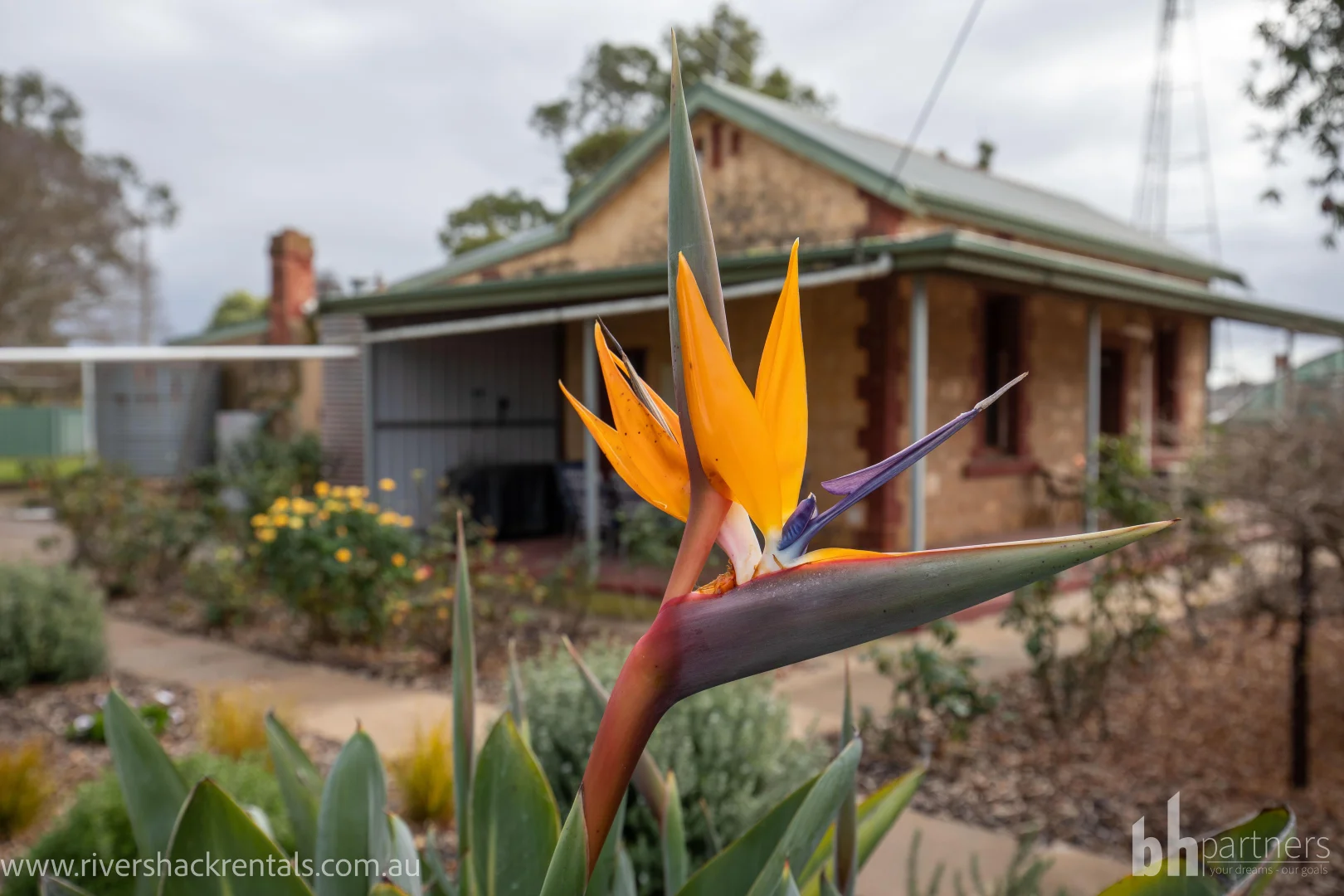 Additional image 15 of Glenlee Cottage, Wall Flat SA 5254
