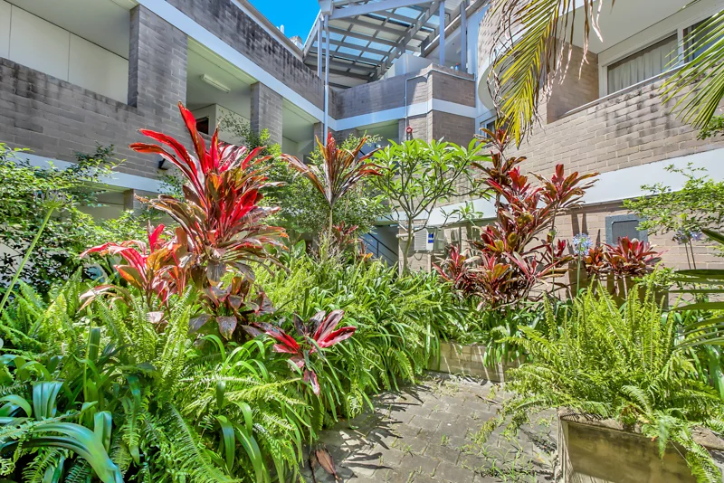 Additional image 9 of 415 Darling Street, Balmain NSW 2041