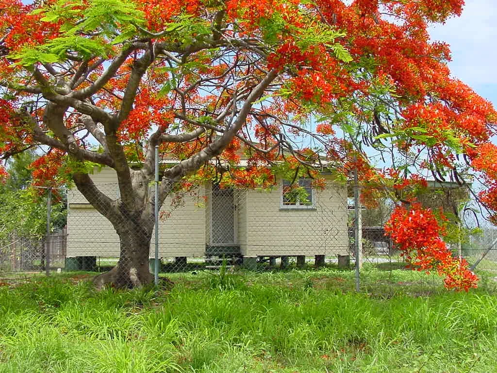 79 Oaka Lane, Gladstone Central QLD 4680