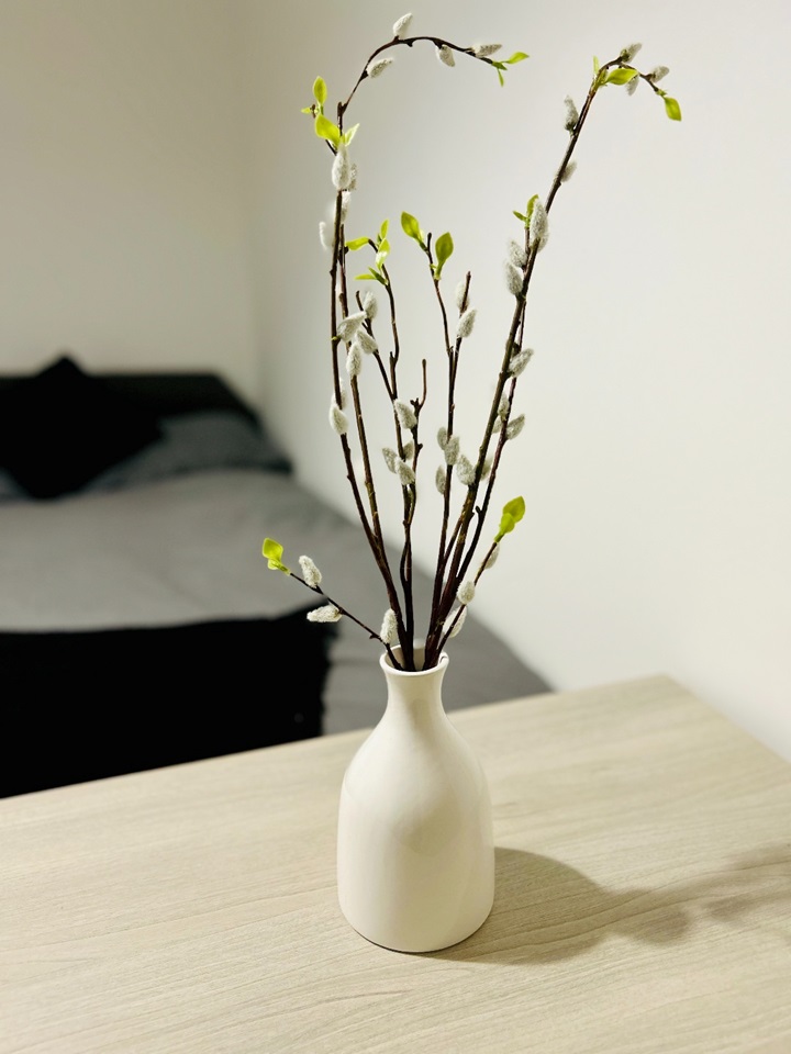 Additional image 14 of 5 Bed Terraced House, Rose Green, BS5, N1 7GU