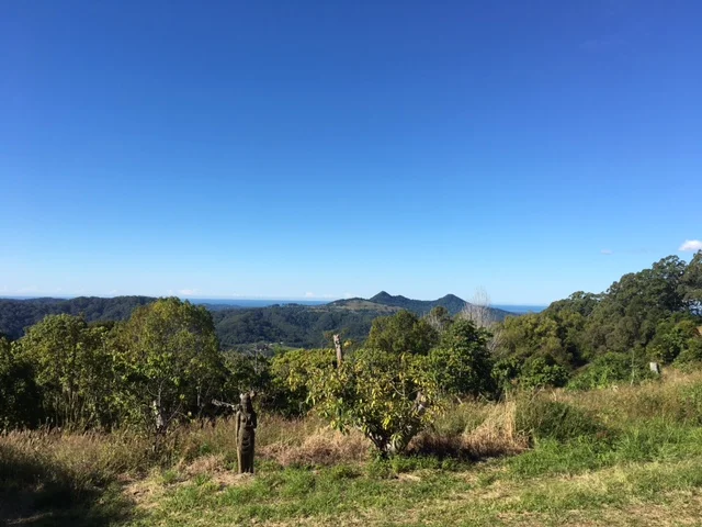 Additional image 29 of Main Arm NSW 2482