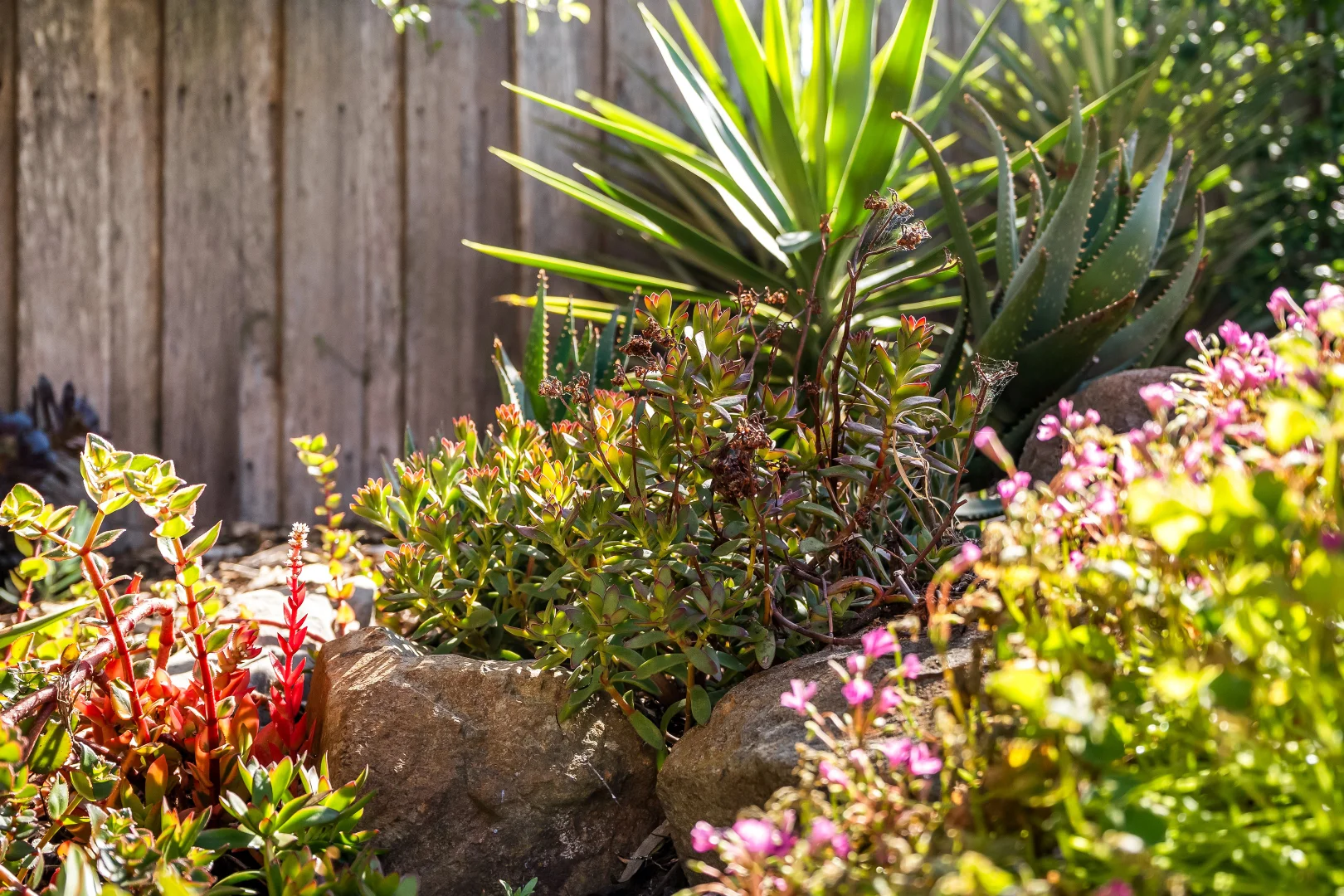 Additional image 45 of 2 Tapner Court, Triabunna TAS 7190
