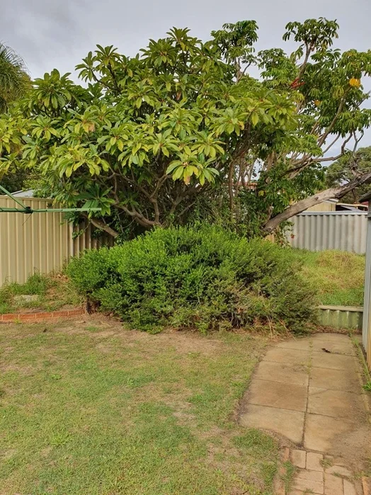 Additional image 18 of 33B Willshire Way, Yangebup WA 6164