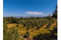 Additional image 60 of 28808 Mountain Meadow Rd, Escondido, CA, 92026