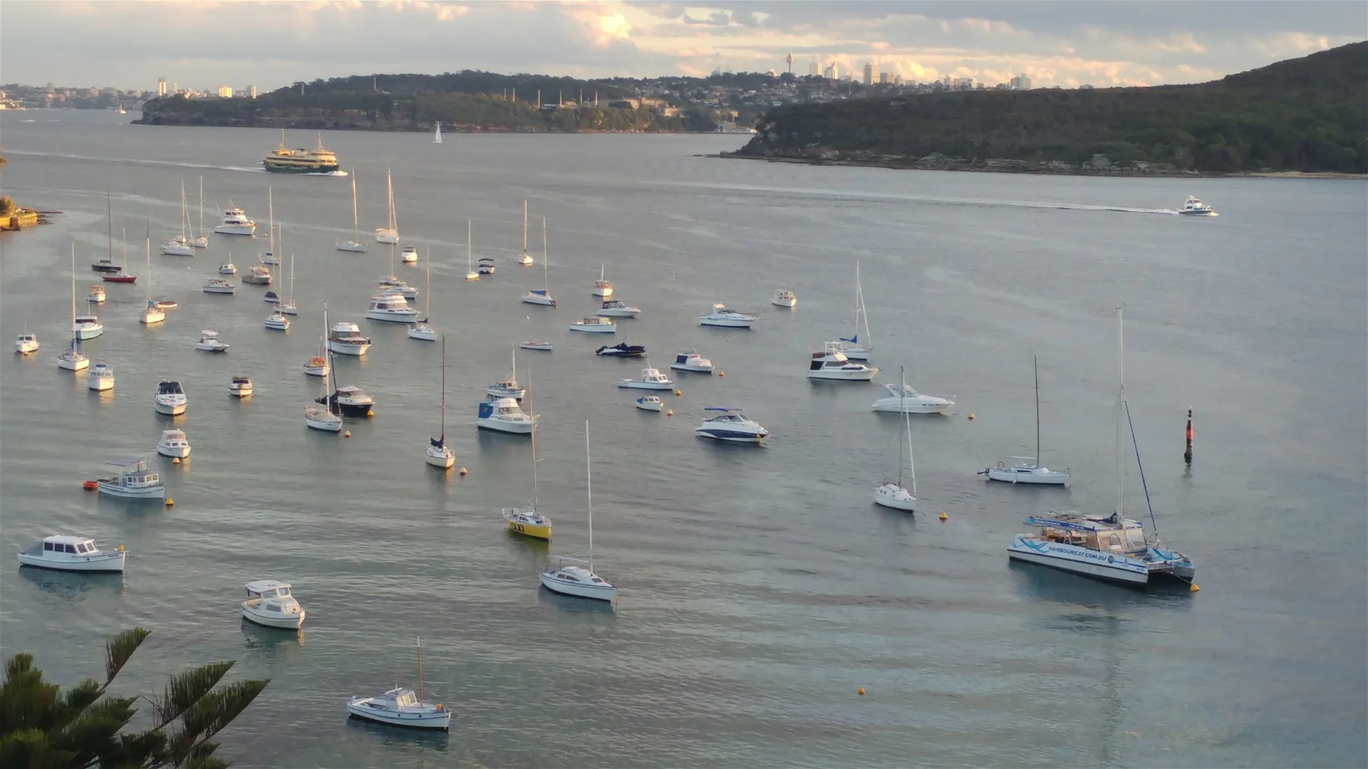 Additional image 3 of Manly NSW 2095