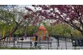 Additional image 26 of 118-82 Metropolitan Ave Unit 1B, Kew Gardens, NY, 11415
