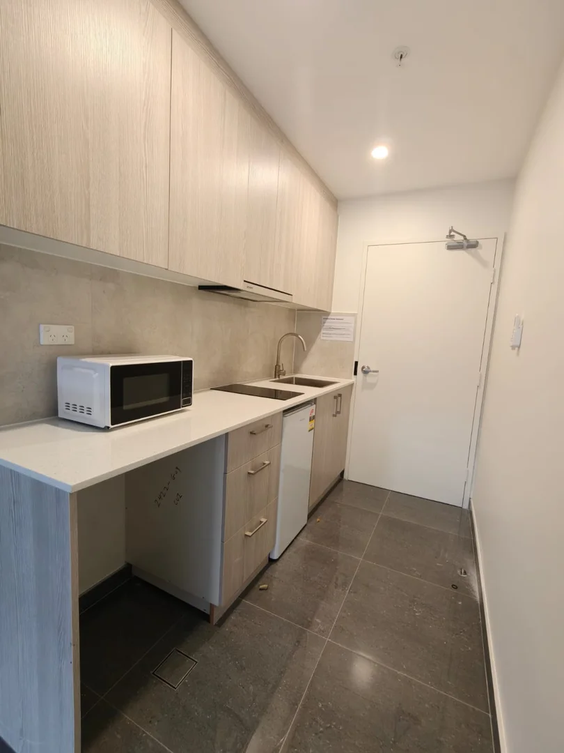 Additional image 6 of 29 Boronia Street, South Wentworthville NSW 2145