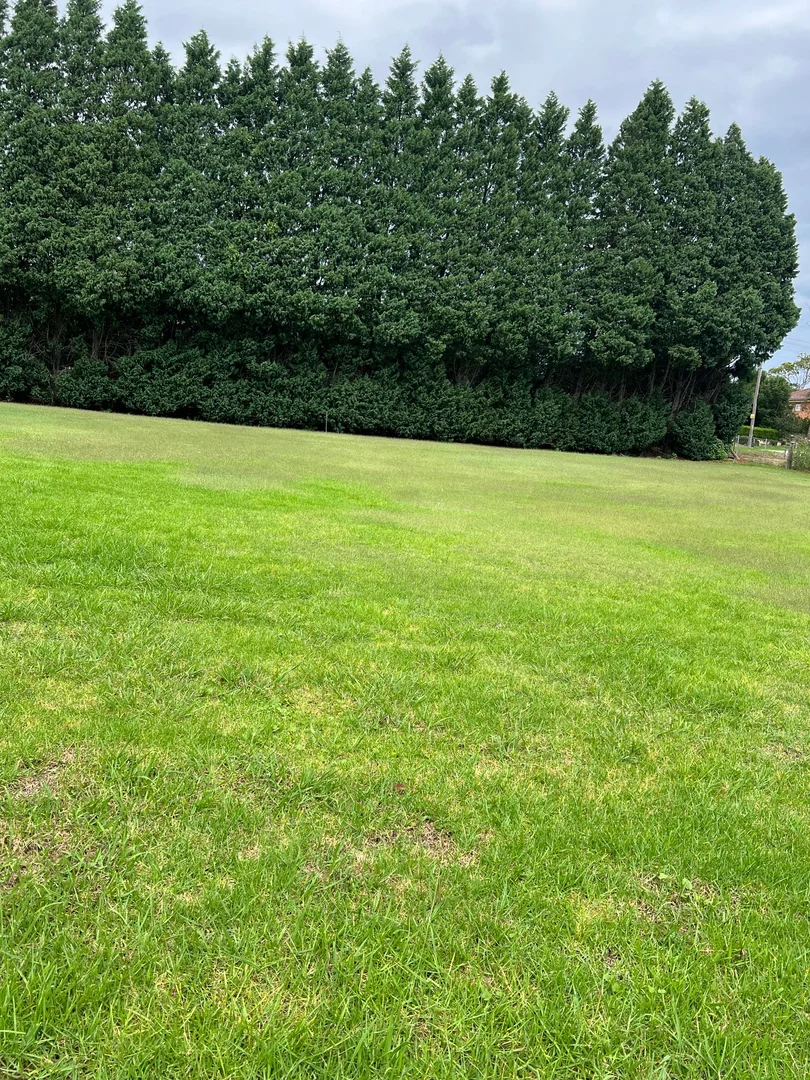 Additional image 2 of Glenorie NSW 2157