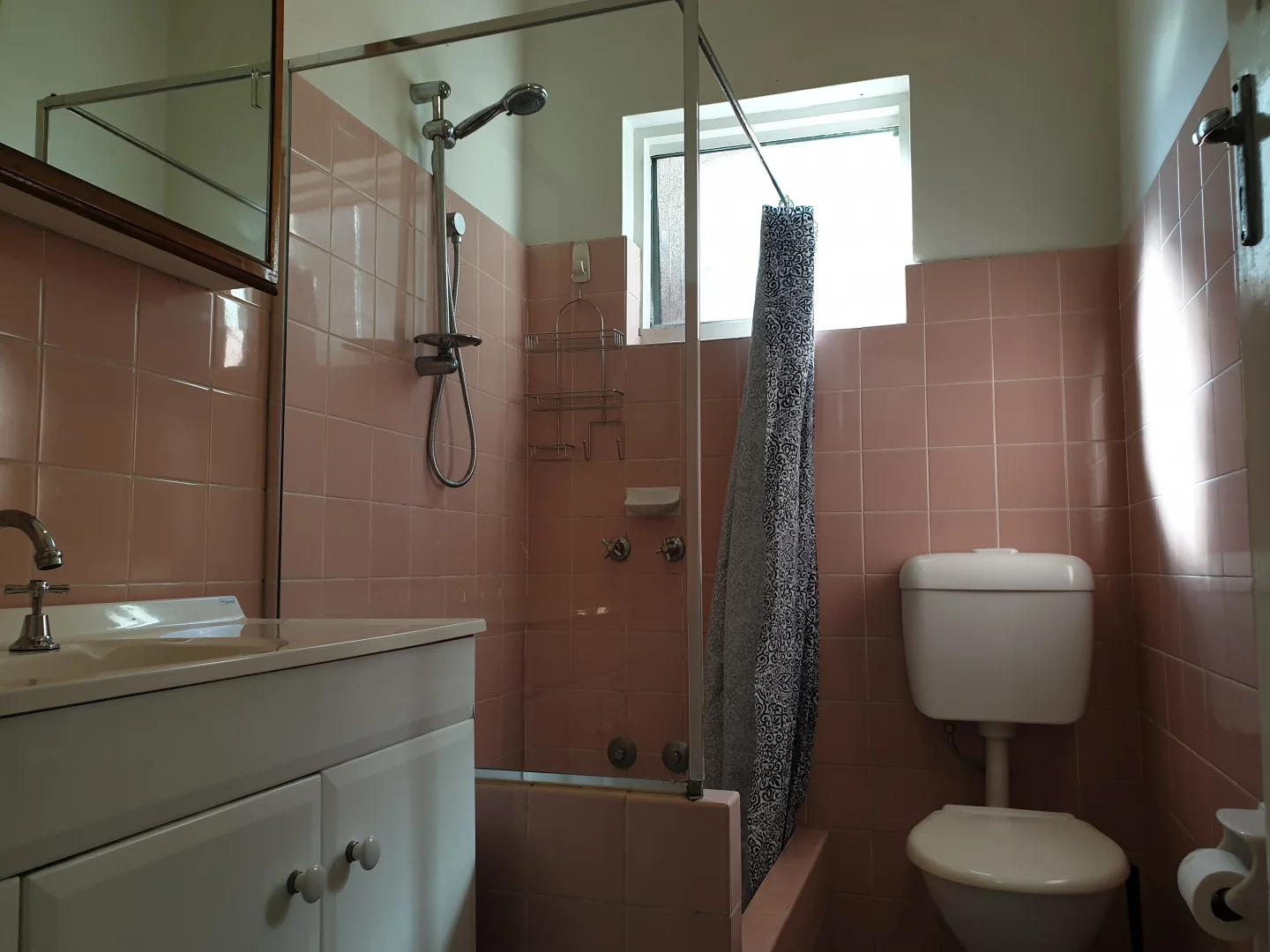 Additional image 9 of 19 Cavendish Street, Concord West NSW 2138