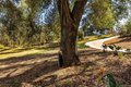 Additional image 63 of 28808 Mountain Meadow Rd, Escondido, CA, 92026