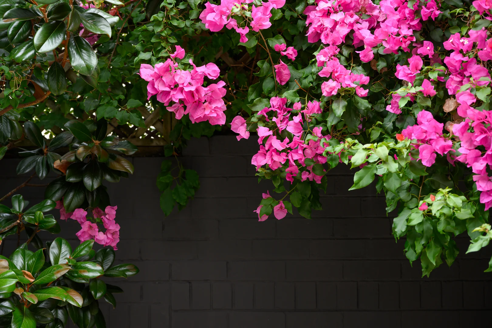 Additional image 38 of 22b Waters Lane, Neutral Bay NSW 2089