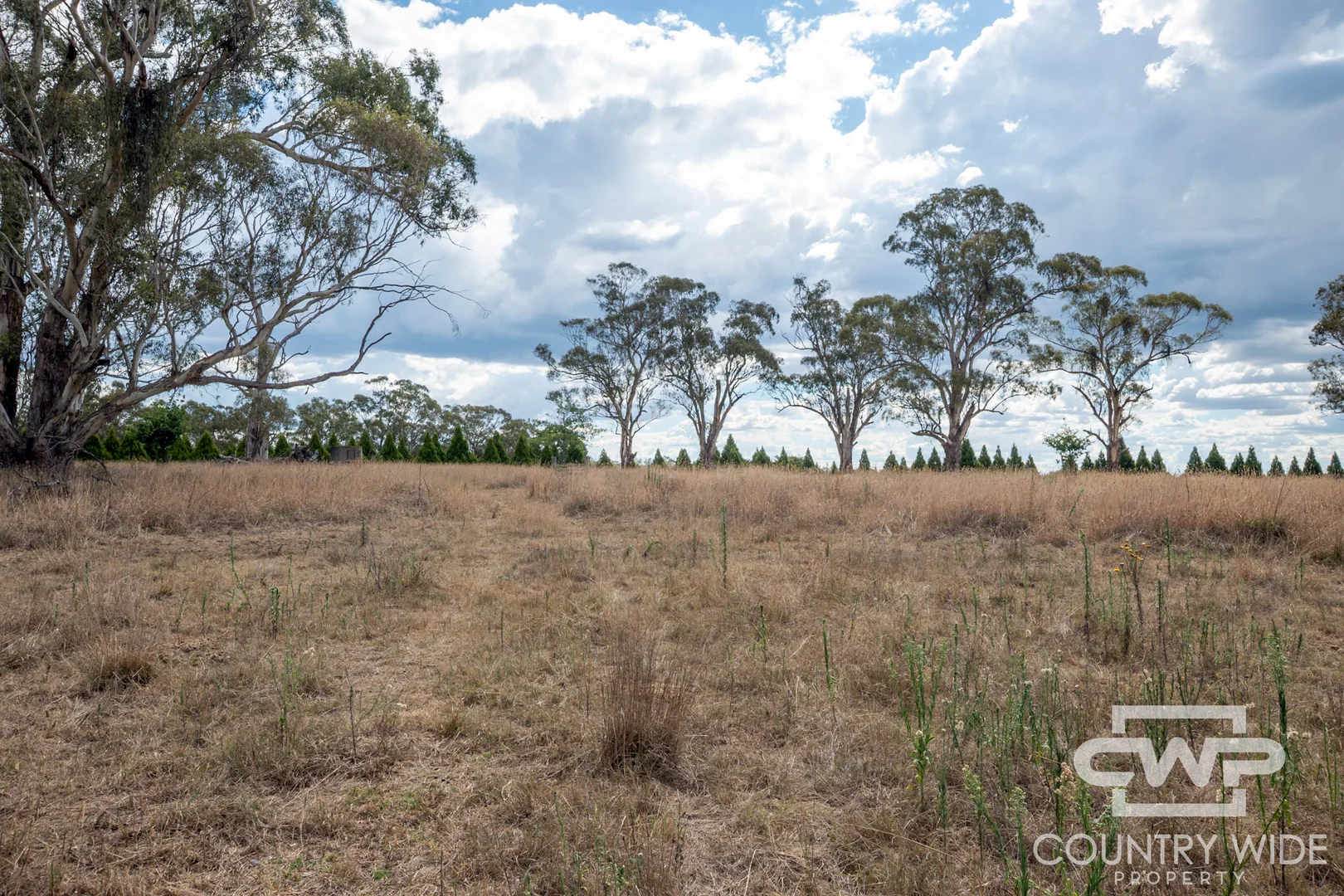 Additional image 18 of Glen Innes NSW 2370