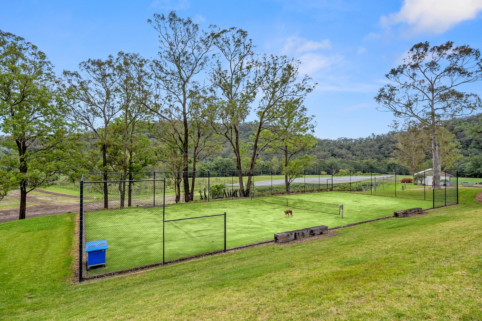 Additional image 19 of 1115B West Portland Road, Lower Portland NSW 2756