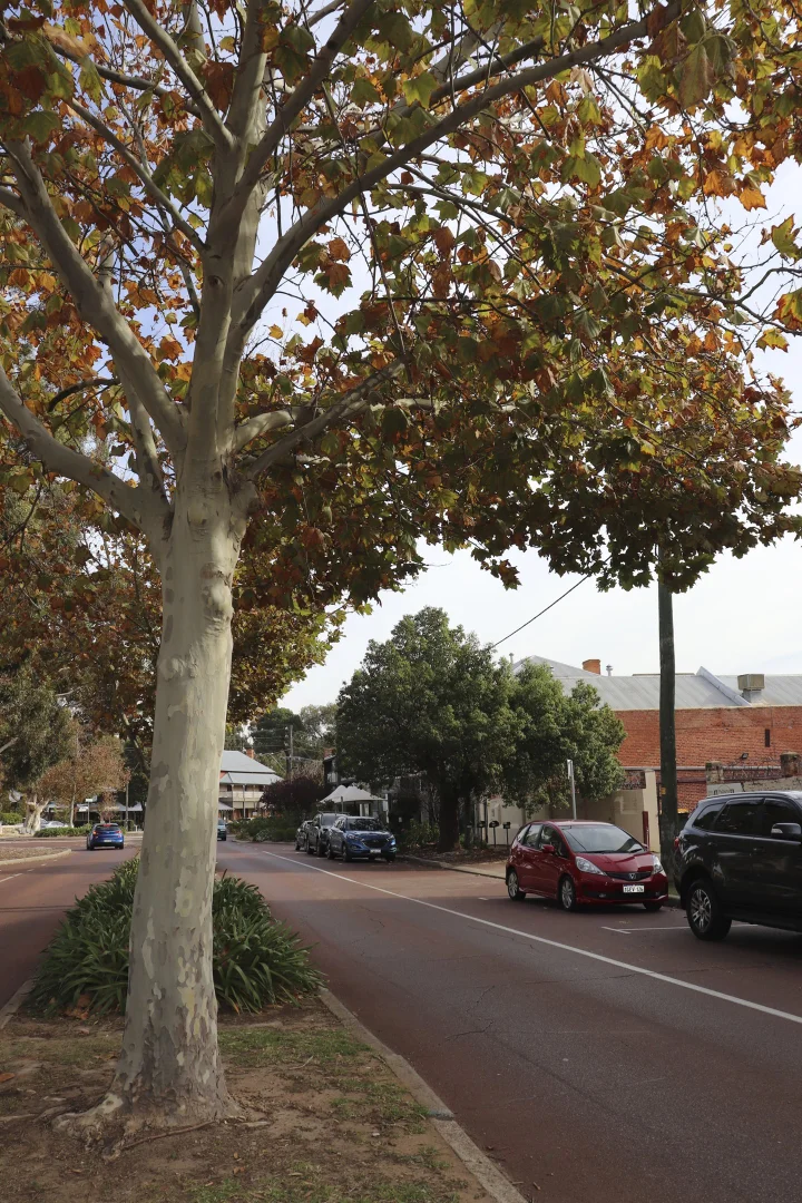 Additional image 15 of 19/110 Terrace Road, Guildford WA 6055