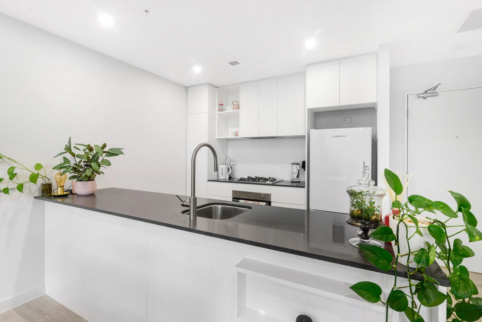 Additional image 3 of 39 Devlin Street, Ryde NSW 2112