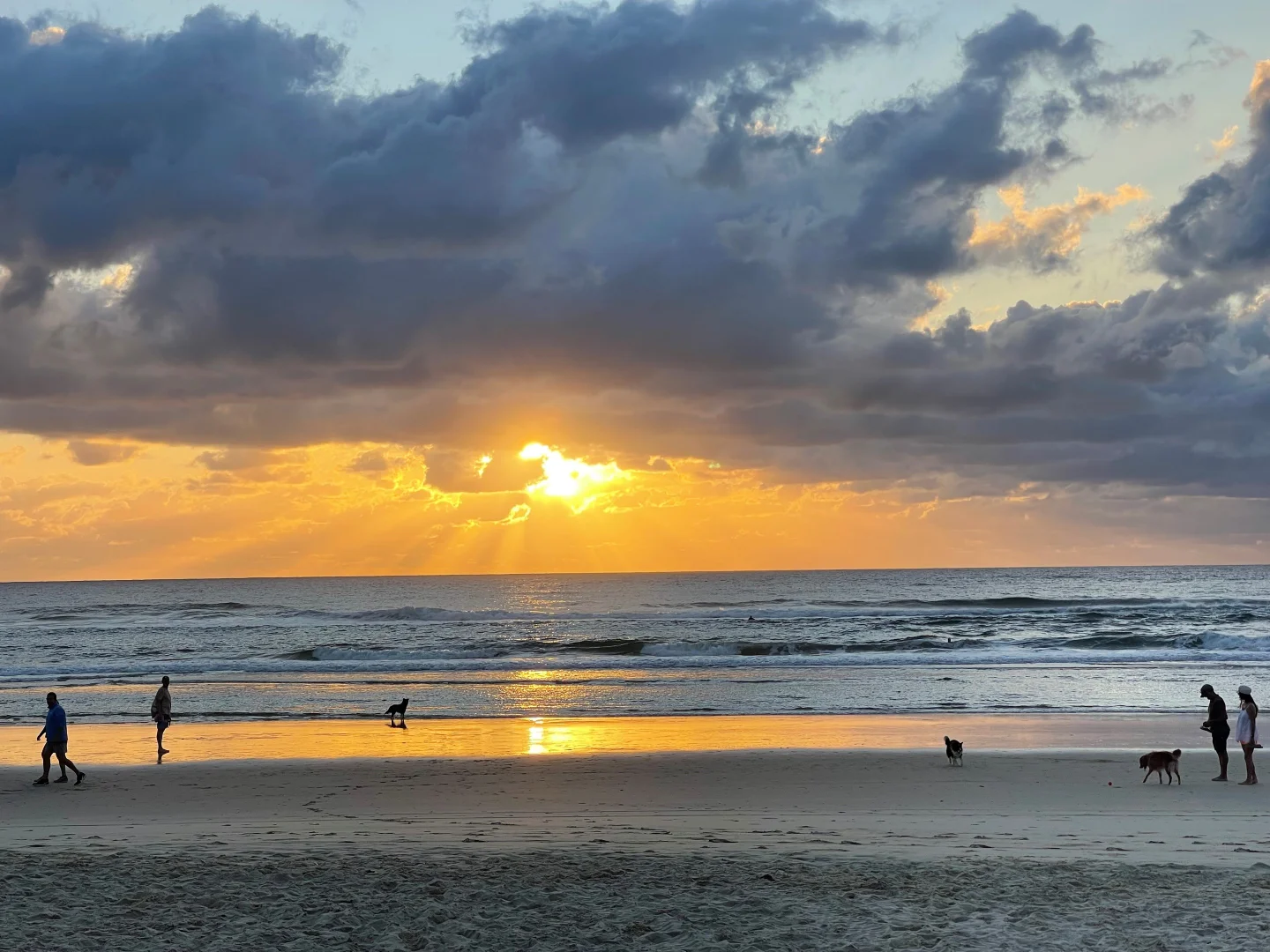 Additional image 18 of 39 Seashell Avenue, Mermaid Beach QLD 4218