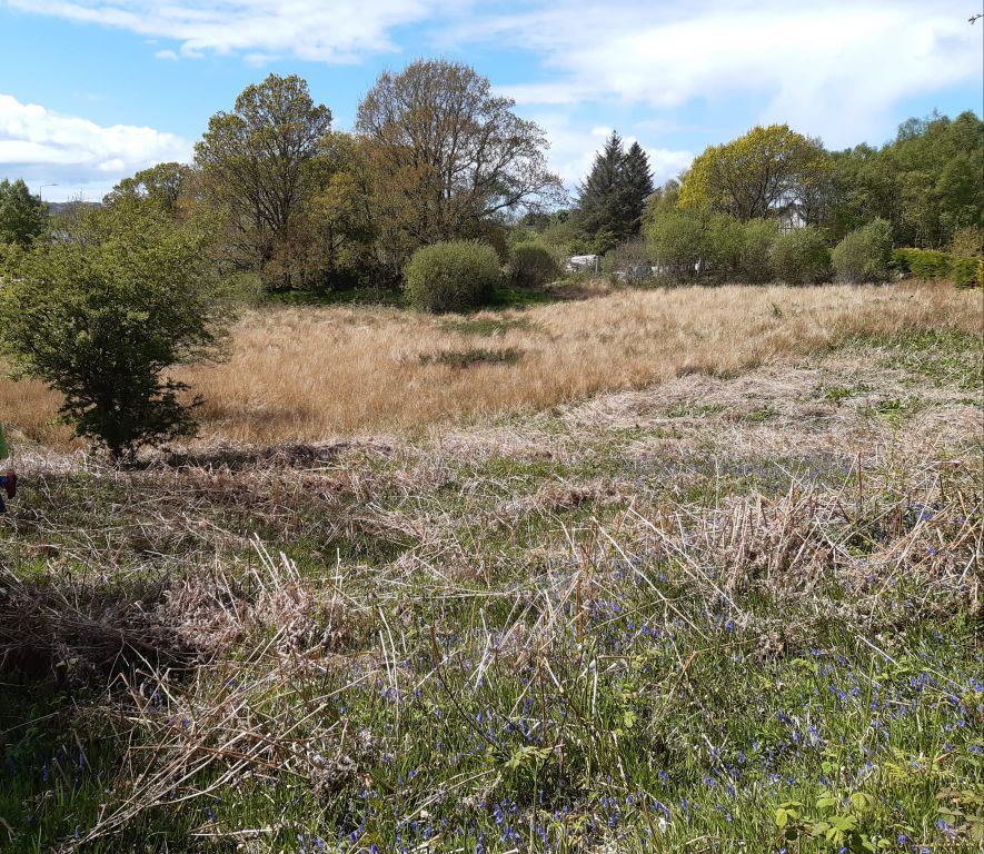 Land for salePlot With Croft At Achnahully, Arisaig PH39 photo 5