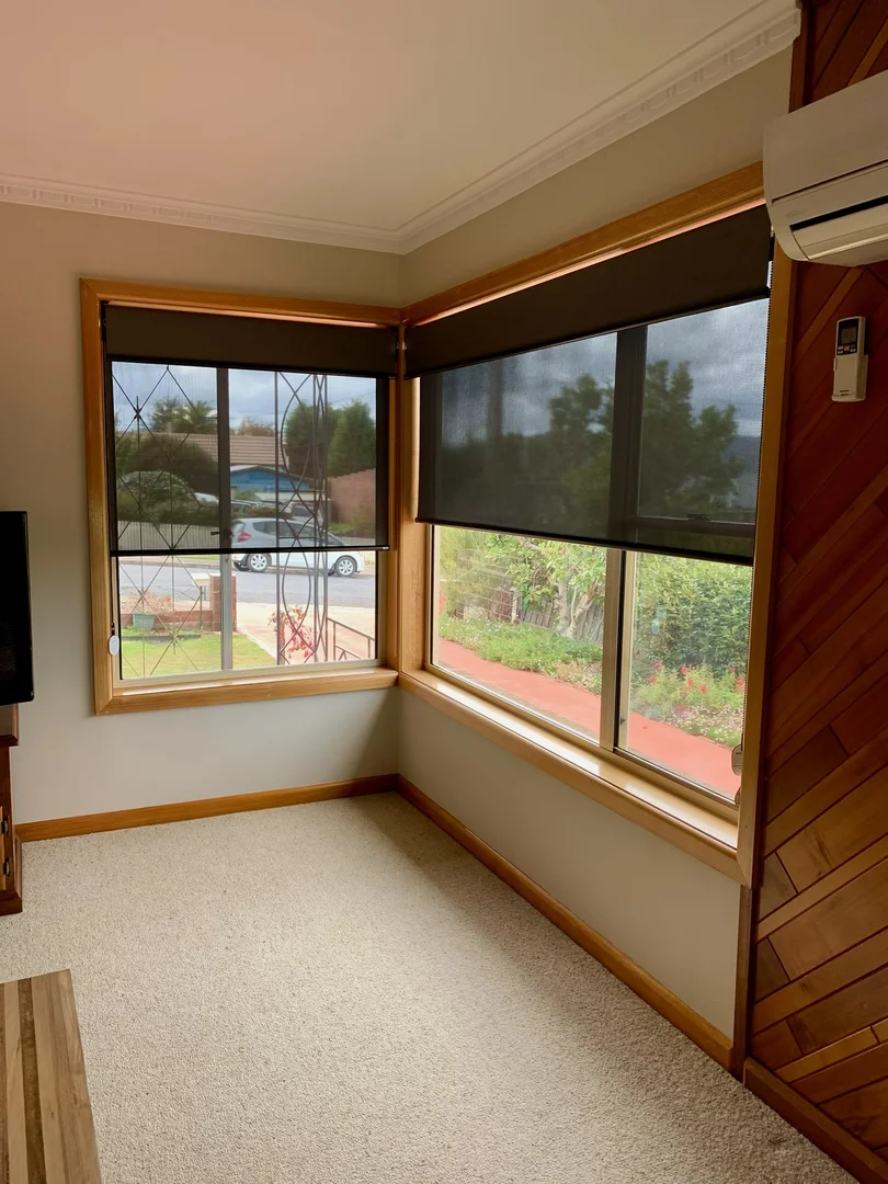 Additional image 4 of 1 Mary St, Scottsdale TAS 7260
