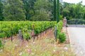 Additional image 32 of 5371 Stonehurst Dr, Martinez, CA, 94553