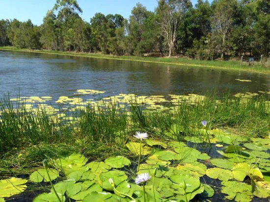 Additional image 14 of Mango Hill QLD 4509