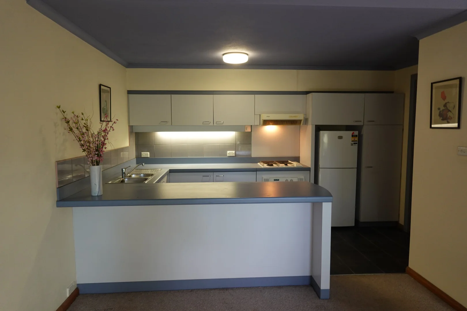 2/103 Riverview Street, Riverview NSW 2066 photo 2