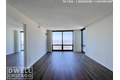 Additional image 30 of 1255 S Michigan Ave Apt 3511, Chicago, IL, 60605