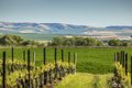 Additional image 7 of 1721J B George Rd, Walla Walla, WA, 99362