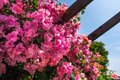 Additional image 26 of 4015 Shelburn Ct, Los Angeles, CA, 90065