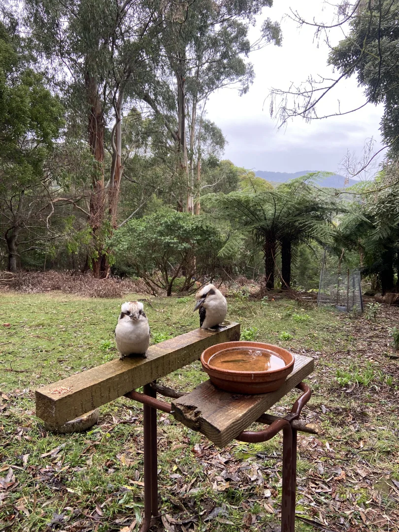Additional image 4 of 13-15 Sunset Ave, Olinda VIC 3788