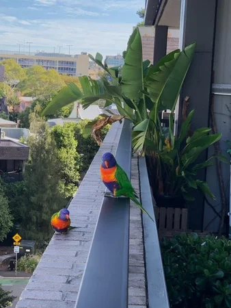 Additional image 21 of 611/1 Stirling Street, Glebe NSW 2037