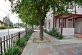 Additional image 67 of 332 E Olive Ave, Monrovia, CA, 91016